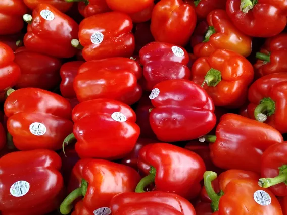 peppers